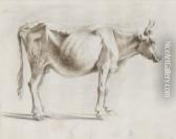Nach Rechts Stehende Kuh Oil Painting - Jean-Jacques De Boissieu