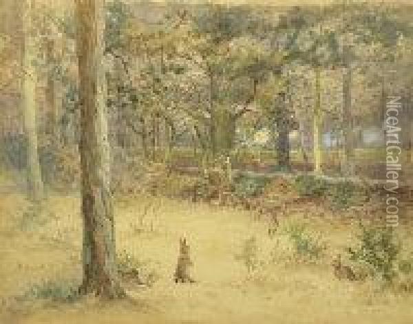 Rabbits In A Woodland Clearing Oil Painting - Percy Thomas Macquoid