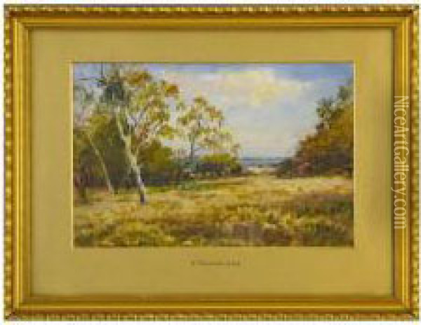 Woodland Scene Oil Painting - William Manners
