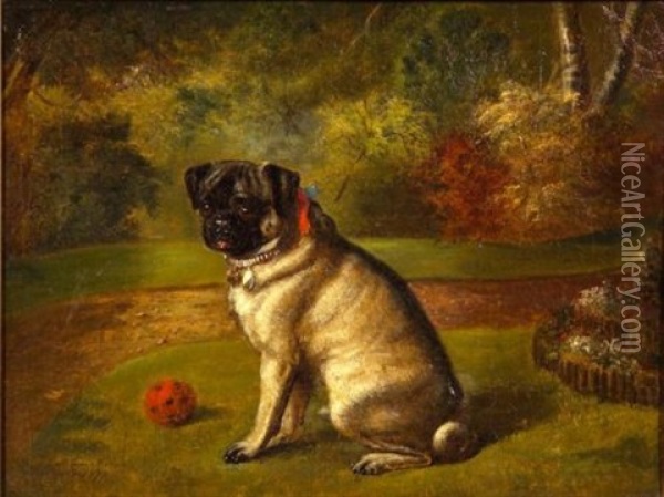 Pug With A Red Ball Oil Painting - Benjamin Cam Norton
