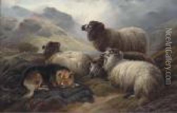 Guarding The Flock Oil Painting - Robert Watson