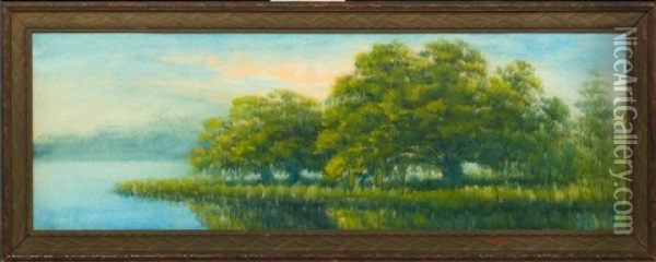Sunlit View Of Oak And Cypress Tress Along The Louisiana Bayou Oil Painting - Alexander John Drysdale