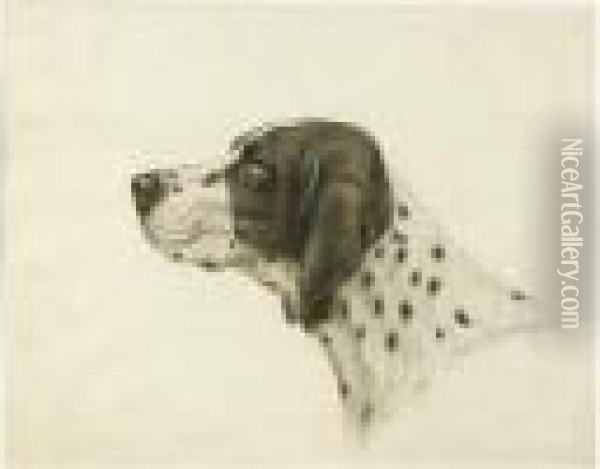 Tete De Braque. Oil Painting - Leon Danchin