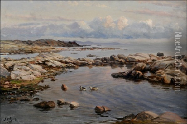Haahkoja Meren Rannalla Oil Painting - Berndt Adolf Lindholm