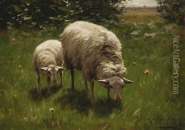 Na Pastve Oil Painting - Herman Johannes van der Weele