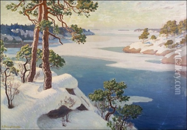 Aurinkoinen Talvipaiva Saaristossa Oil Painting - Vaeinoe Alfred Blomstedt