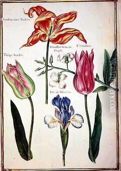 Flower Studies Tulips and Blue Iris Oil Painting - Nicolas Robert