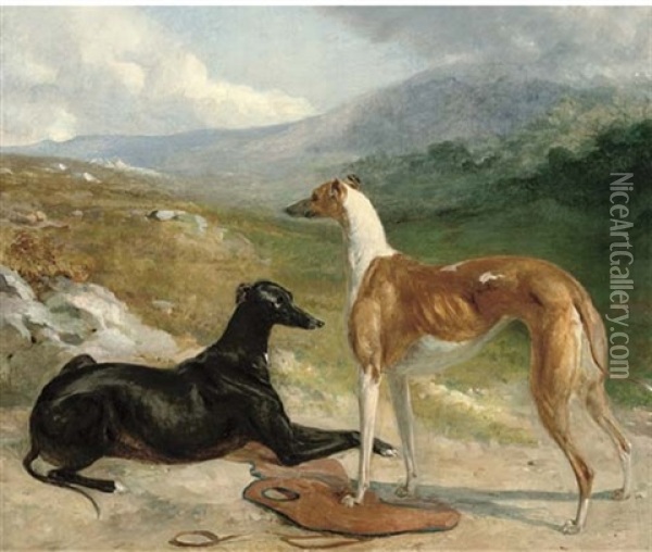 Two Prize Greyhounds In An Extensive Landscape Oil Painting - Abraham Cooper