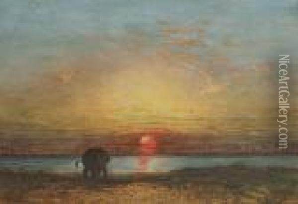 An Elephant At Sunset, Thailand Oil Painting - Eduard Hildebrandt