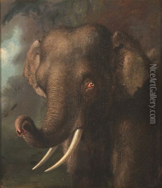 Elephant Oil Painting - William Huggins