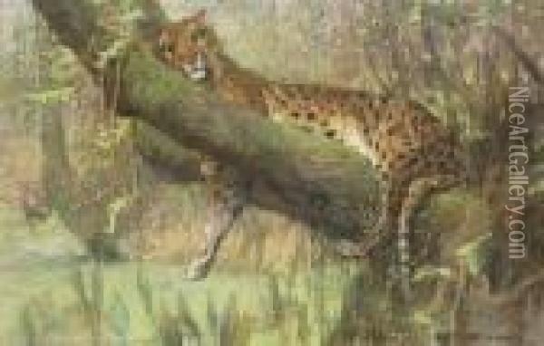 A Leopard Resting Oil Painting - Arthur Wardle