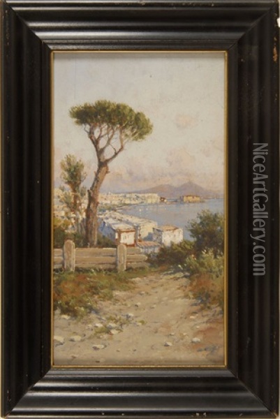 Looking Down On The Bay Of Naples Oil Painting - Giuseppe Carelli