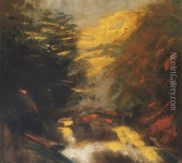 Zugo Patak Derengo Fenyekkel (babbling Brook In Dawning Lights) Oil Painting - Laszlo Mednyanszky