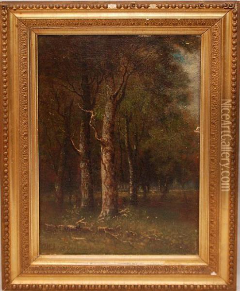 Tree's In Forest Oil Painting - George W. King