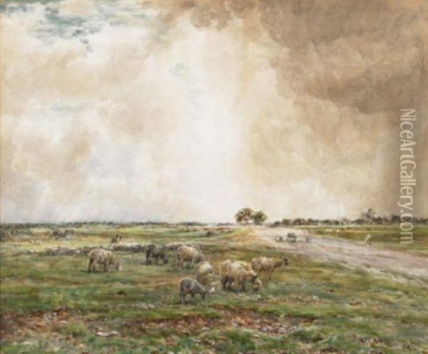 Sheep Grazing In An Extensive Landscape Oil Painting - Claude Hayes