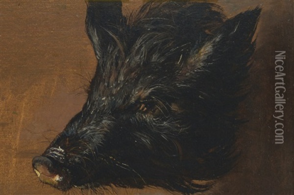 Head Of A Boar Oil Painting - Johan Christian Dahl