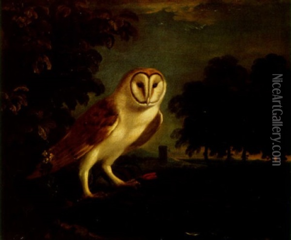 A Barn Owl In A Wooded Landscape Oil Painting - William Verelst