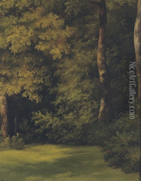 Fallen Tree Trunks On A Forest Floor (+ A Woodland Clearing; 2 Works) Oil Painting - Jean-Michel Cels