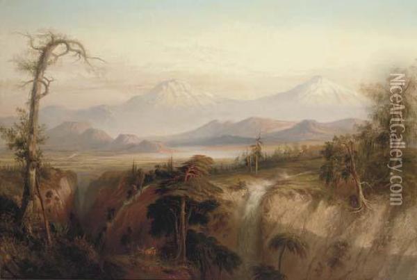 The Ravine Of The Desert (the Valley Of Mexico) Oil Painting - Daniel Thomas Egerton