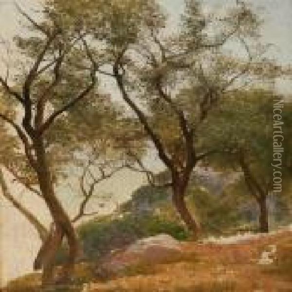 Olive Trees On A Hillside Oil Painting - Janus Andreas La Cour