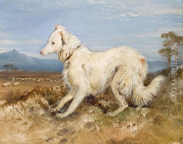 White Collie In A Landscape (sketch) Oil Painting - Sir Edwin Henry Landseer