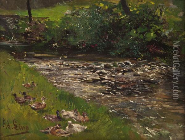 Entengruppe An Sommerlichem Bachlauf Oil Painting - Adolf Lins
