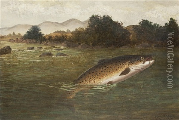 A Brown Trout Jumping (+ The Days Catch With A Creel; Pair) Oil Painting - A. Roland Knight