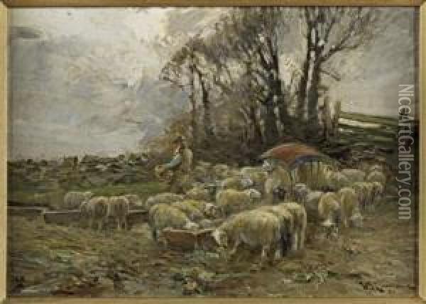 Feeding The Sheep Oil Painting - William Bradley Lamond