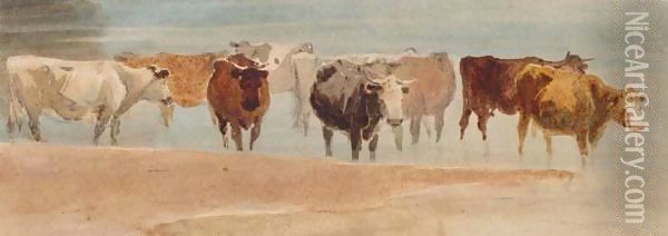 Cattle In A Stream Oil Painting - David Cox