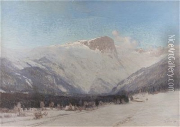 Am Hochschwab Im Winter Oil Painting - Thomas Leitner