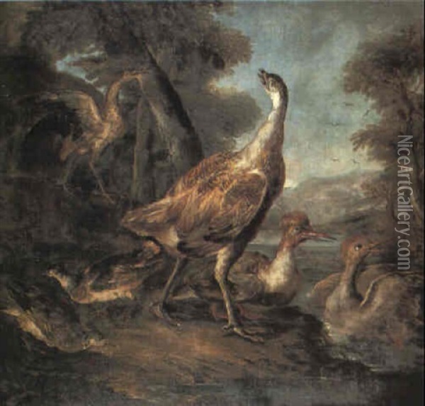 Herons, Ducks And Other Waterfowl Oil Painting - Angelo Maria (Crivellone) Crivelli