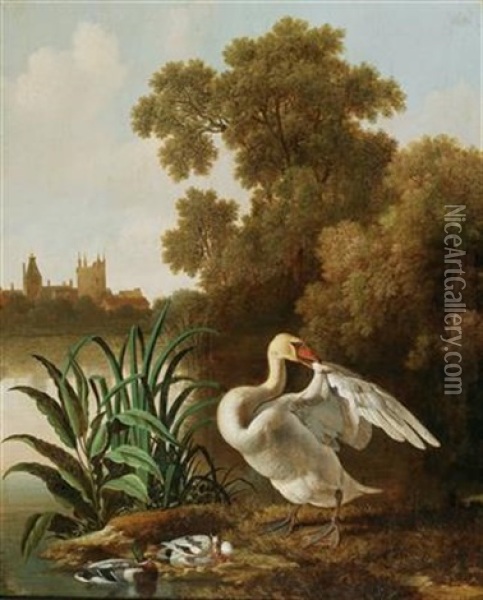 A Swan And Ducks At A River Oil Painting - Dirck Wyntrack