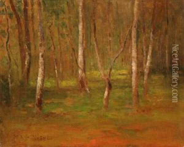 Woodland Interior Oil Painting - Max Weyl