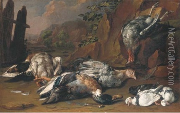 A Hunting Still Life With Ducks, Hens And Other Fowl In A Rocky Landscape Oil Painting - Giovanni Agostino (Abate) Cassana