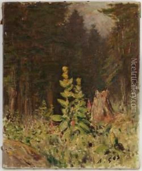 Foret Oil Painting - Albert H. Gos