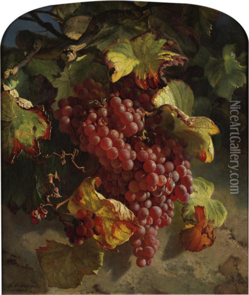 Grapes On A Vine Oil Painting - Theude Gronland