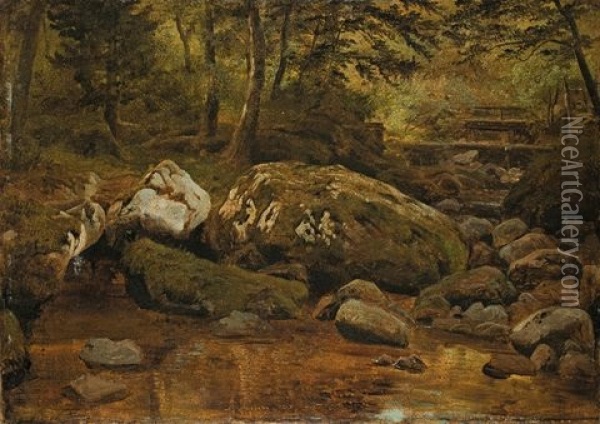 Stream Near Ilsenburg Oil Painting - Georg Heinrich Crola
