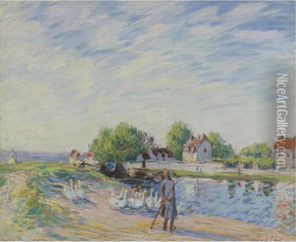 Les Oies A Saint-mammes Oil Painting - Alfred Sisley