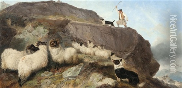 Sheep Gathering, Isle Of Skye Oil Painting - Richard Ansdell