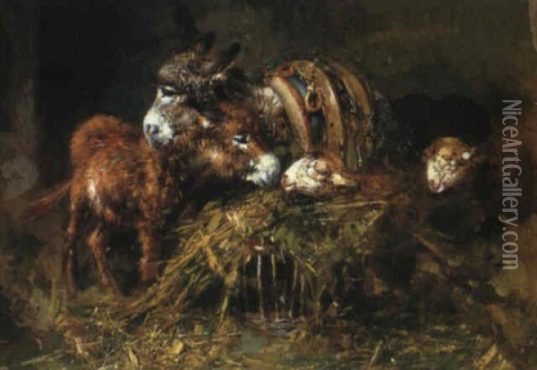 Donkeys And Sheep In A Stable Oil Painting - Tito Pellicciotti