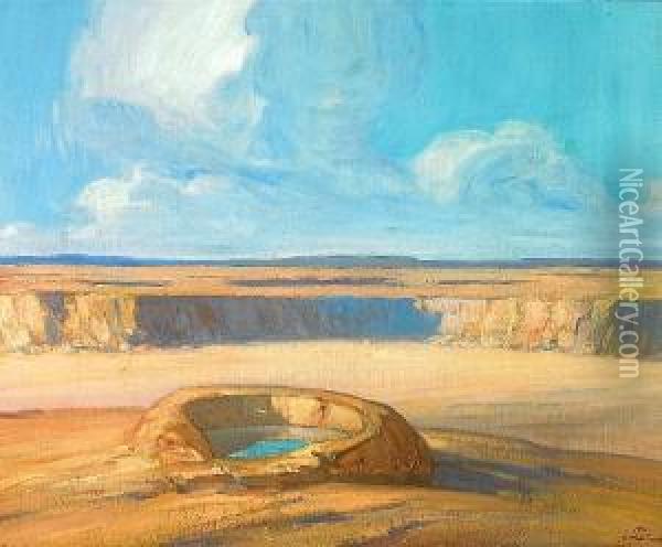 The Waterhole Oil Painting - Xavier Martinez