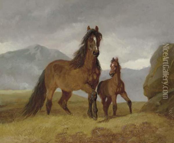 A Welsh Mountain Mare And Foal In An Upland Landscape Oil Painting - John Frederick Herring Snr