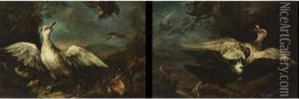 Ducks, A Finch And Other Birds Assailed By Hawks In A Wooded Landscape;
 Ducks, A Kingfisher, An Owl And Other Birds Assailed In A Wooded Landscape Oil Painting - Ferdinand Phillip de Hamilton