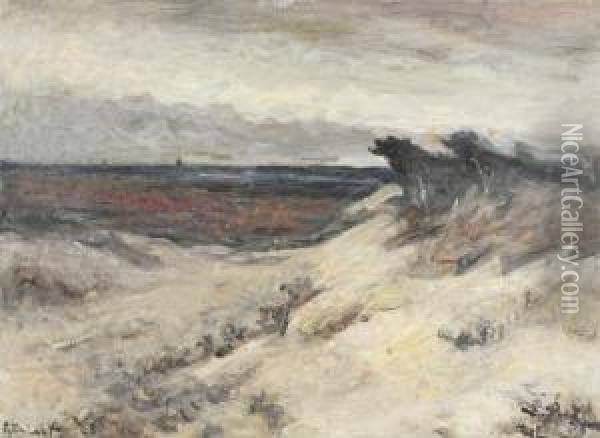 Moorland With Dunes Oil Painting - Alois De Laet