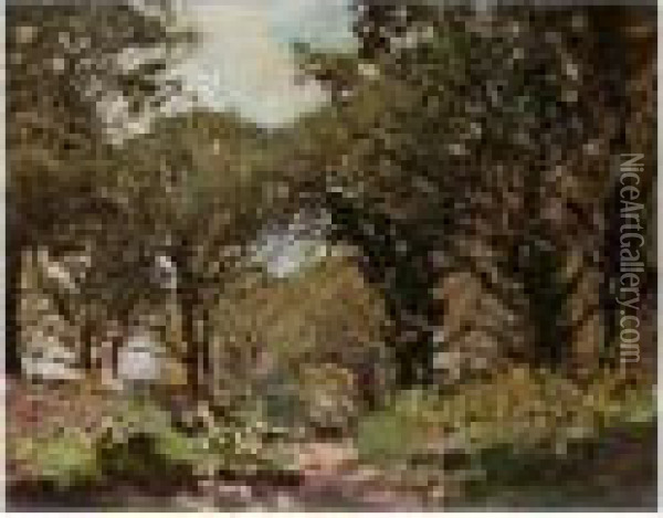 Woodland Path Oil Painting - Harry Watson