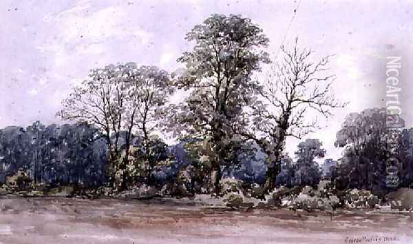 Trees at Perry Bar near Birmingham Oil Painting - George Wallis