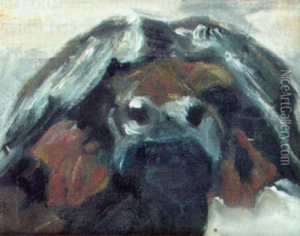 Buffelkopf Oil Painting - Wilhelm Friedrich Kuhnert