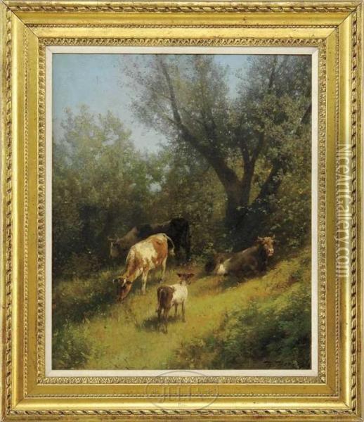 Cattle Resting On Hillside Oil Painting - Herman Herzog