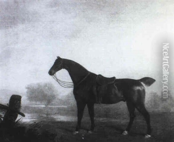 A Saddled Dark Bay Hunter In A River Landscape Oil Painting - Benjamin Marshall
