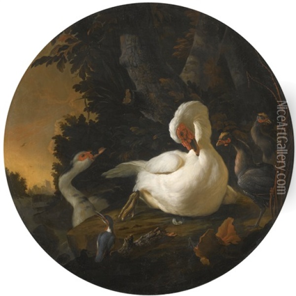A Mute Swan, A Goose, And Other Fowl On A Wooded River Bank Oil Painting - Abraham Bisschop